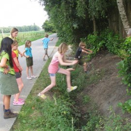IMG 0105  Medium - Scouts en Gidsen Zaventem 